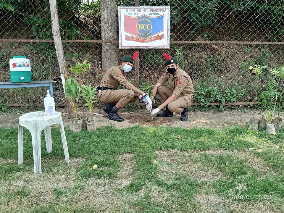 ENVIRONMENT DAY CELEBRATIONS