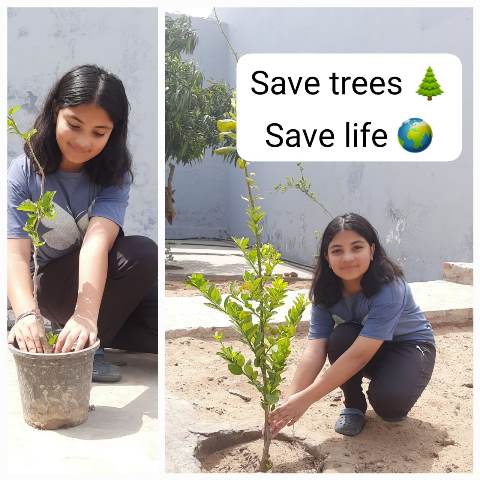 ENVIRONMENT DAY CELEBRATIONS