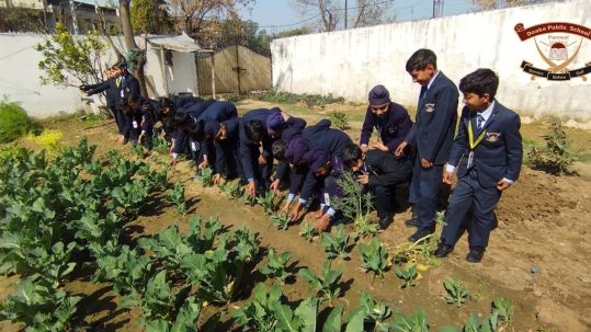 Top Schools in Hoshiarpur