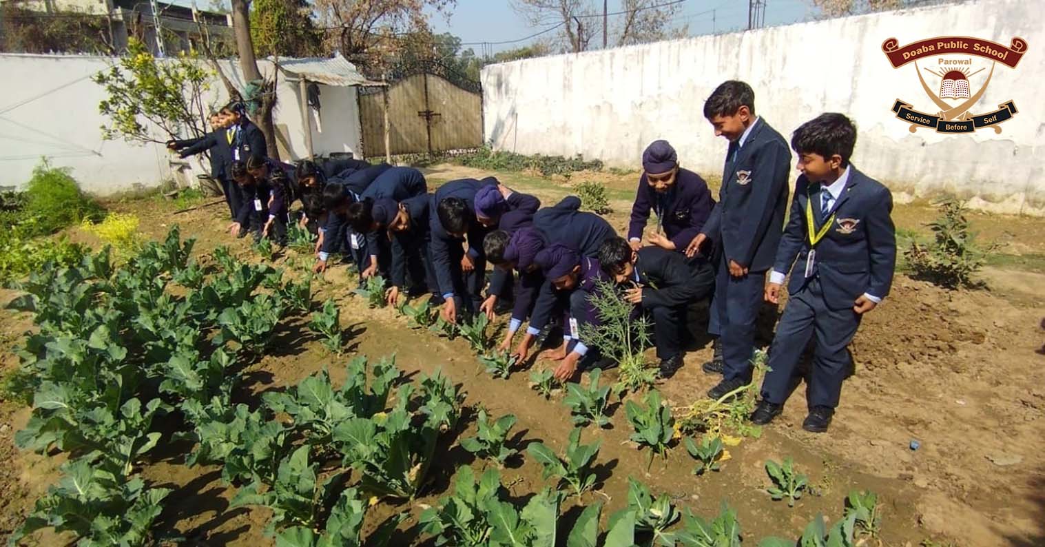 Top Schools in Hoshiarpur
